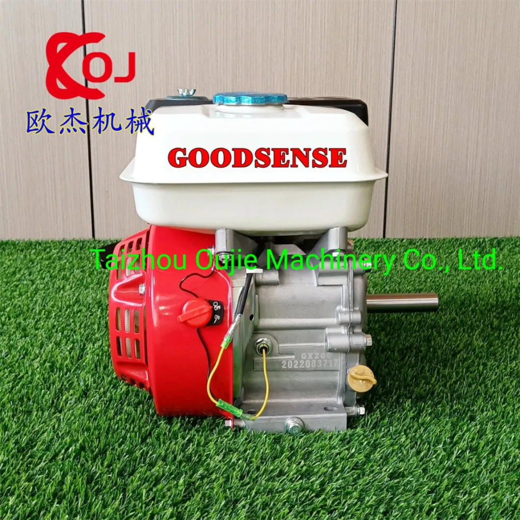 6.5HP Gx200 Gasoline Engine with Pulley Hot Selling