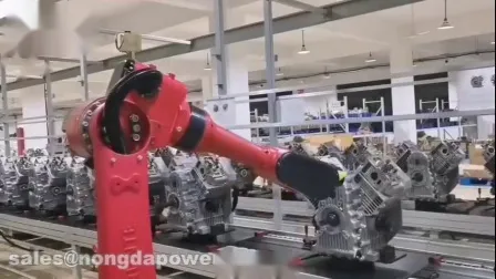 Dp20 Dp30 Dp40 Dp60 2 3 4 6 Zoll Dieselwasserpumpe für landwirtschaftliche Bewässerung