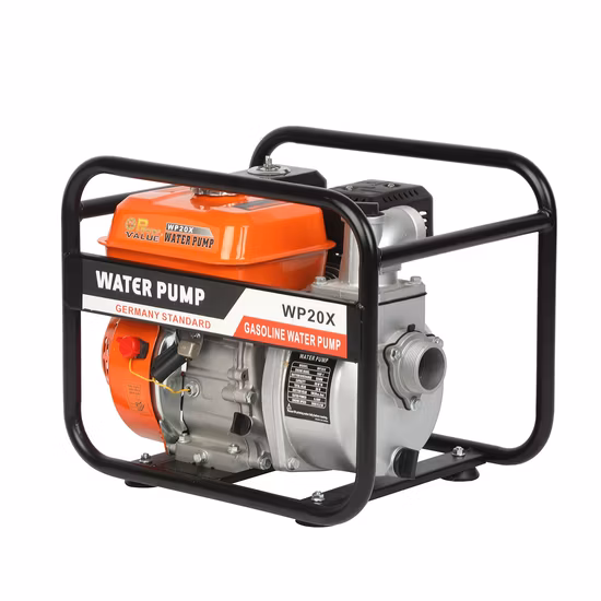 Günstige Benzin-Wasserpumpe, Hauswasserpumpe 12 V zum günstigsten Preis